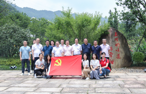 16594908793809788IBG.png image.png