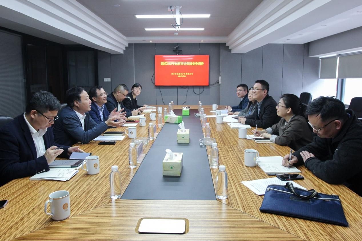 1683180250916686xK15.png 集團到公司開展運營審計條線調演.png